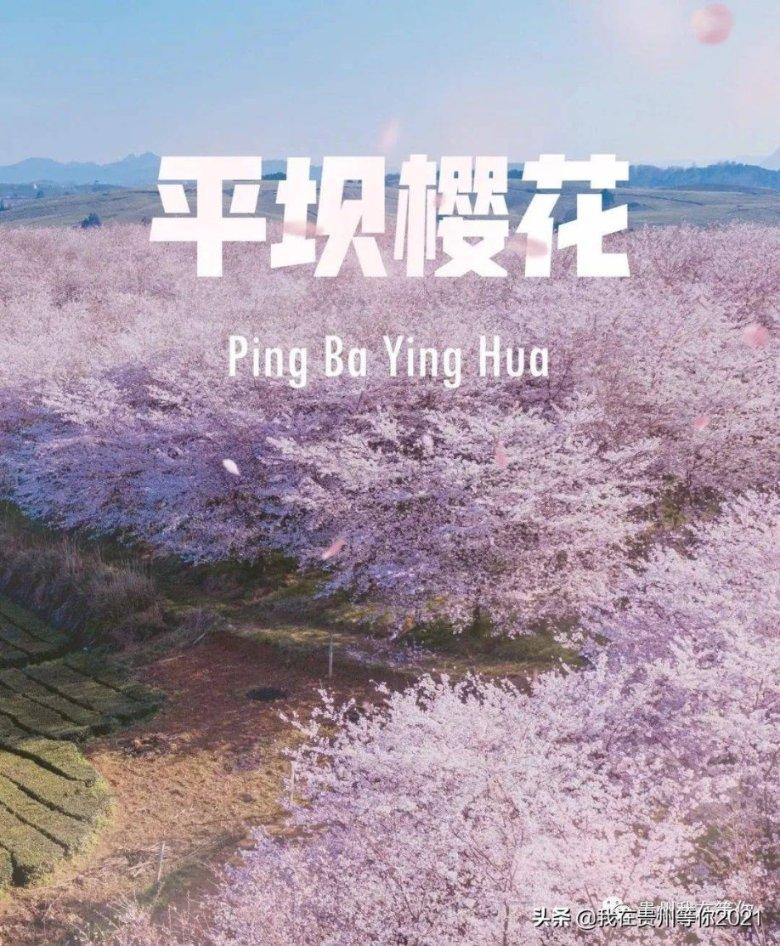 保护未成年人,是家事也是国事